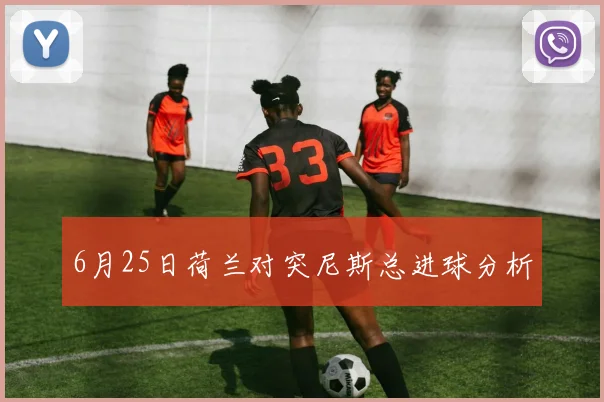 6月25日荷兰对突尼斯总进球分析