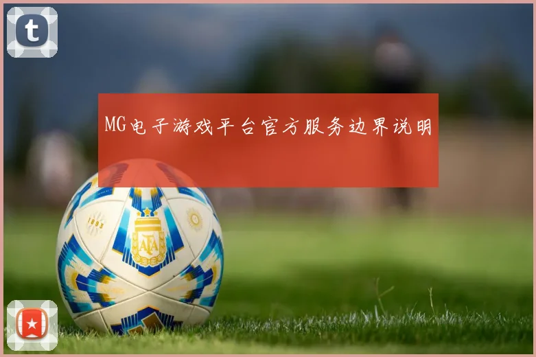 MG电子游戏平台官方服务边界说明