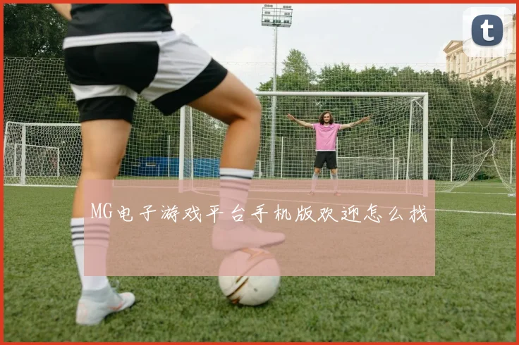 MG电子游戏平台手机版欢迎怎么找